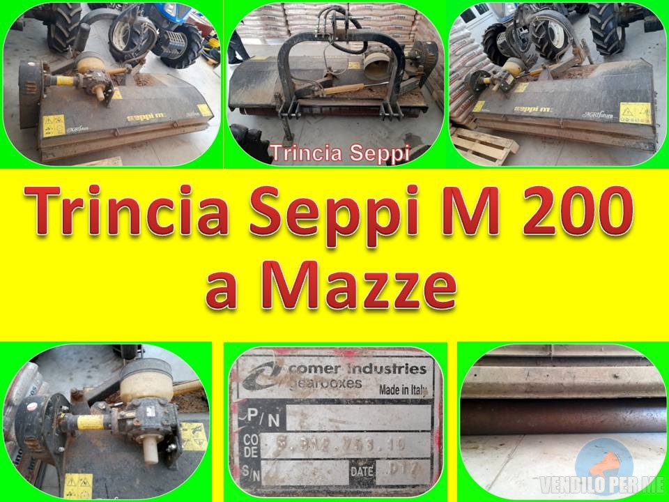 Trincia Seppi M 200 a Mazze  Machineryscanner